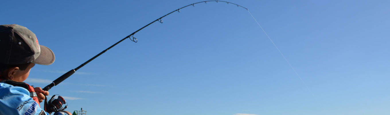 Gold Coast Fishing