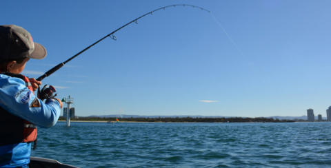 fishing Gold Coast