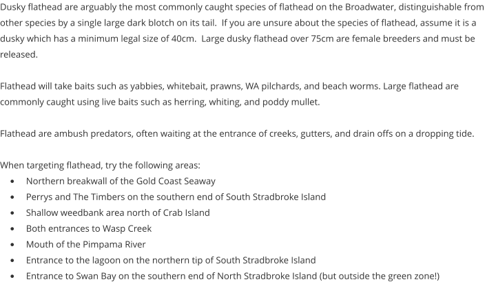 Dusky flathead are arguably the most commonly caught species of flathead on the Broadwater, distinguishable from other species by a single large dark blotch on its tail.  If you are unsure about the species of flathead, assume it is a dusky which has a minimum legal size of 40cm.  Large dusky flathead over 75cm are female breeders and must be released.  Flathead will take baits such as yabbies, whitebait, prawns, WA pilchards, and beach worms. Large flathead are commonly caught using live baits such as herring, whiting, and poddy mullet.  Flathead are ambush predators, often waiting at the entrance of creeks, gutters, and drain offs on a dropping tide.  When targeting flathead, try the following areas: •	Northern breakwall of the Gold Coast Seaway •	Perrys and The Timbers on the southern end of South Stradbroke Island •	Shallow weedbank area north of Crab Island •	Both entrances to Wasp Creek •	Mouth of the Pimpama River •	Entrance to the lagoon on the northern tip of South Stradbroke Island •	Entrance to Swan Bay on the southern end of North Stradbroke Island (but outside the green zone!)
