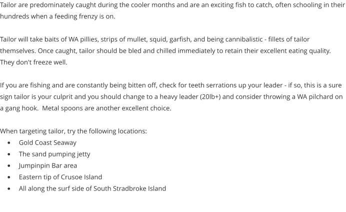 Tailor are predominately caught during the cooler months and are an exciting fish to catch, often schooling in their hundreds when a feeding frenzy is on.    Tailor will take baits of WA pillies, strips of mullet, squid, garfish, and being cannibalistic - fillets of tailor themselves. Once caught, tailor should be bled and chilled immediately to retain their excellent eating quality.  They don't freeze well.  If you are fishing and are constantly being bitten off, check for teeth serrations up your leader - if so, this is a sure sign tailor is your culprit and you should change to a heavy leader (20lb+) and consider throwing a WA pilchard on a gang hook.  Metal spoons are another excellent choice.    When targeting tailor, try the following locations: •	Gold Coast Seaway •	The sand pumping jetty •	Jumpinpin Bar area •	Eastern tip of Crusoe Island •	All along the surf side of South Stradbroke Island