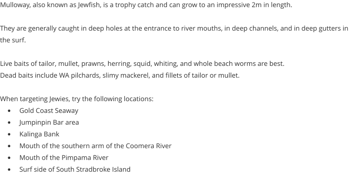 Mulloway, also known as Jewfish, is a trophy catch and can grow to an impressive 2m in length.  They are generally caught in deep holes at the entrance to river mouths, in deep channels, and in deep gutters in the surf.  Live baits of tailor, mullet, prawns, herring, squid, whiting, and whole beach worms are best.   Dead baits include WA pilchards, slimy mackerel, and fillets of tailor or mullet.  When targeting Jewies, try the following locations: •	Gold Coast Seaway •	Jumpinpin Bar area •	Kalinga Bank •	Mouth of the southern arm of the Coomera River •	Mouth of the Pimpama River •	Surf side of South Stradbroke Island