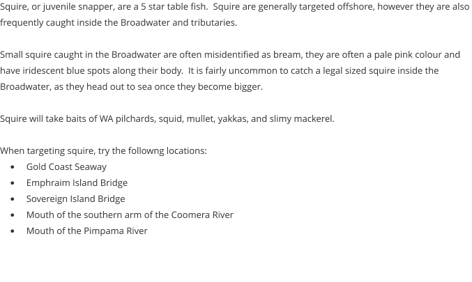 Squire, or juvenile snapper, are a 5 star table fish.  Squire are generally targeted offshore, however they are also frequently caught inside the Broadwater and tributaries.  Small squire caught in the Broadwater are often misidentified as bream, they are often a pale pink colour and have iridescent blue spots along their body.  It is fairly uncommon to catch a legal sized squire inside the Broadwater, as they head out to sea once they become bigger.   Squire will take baits of WA pilchards, squid, mullet, yakkas, and slimy mackerel.  When targeting squire, try the followng locations: •	Gold Coast Seaway •	Emphraim Island Bridge •	Sovereign Island Bridge •	Mouth of the southern arm of the Coomera River •	Mouth of the Pimpama River