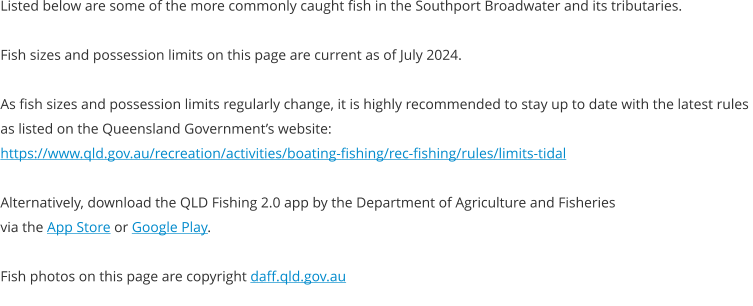 Listed below are some of the more commonly caught fish in the Southport Broadwater and its tributaries.  Fish sizes and possession limits on this page are current as of July 2024.  As fish sizes and possession limits regularly change, it is highly recommended to stay up to date with the latest rules  as listed on the Queensland Government’s website: https://www.qld.gov.au/recreation/activities/boating-fishing/rec-fishing/rules/limits-tidal  Alternatively, download the QLD Fishing 2.0 app by the Department of Agriculture and Fisheries  via the App Store or Google Play.  Fish photos on this page are copyright daff.qld.gov.au