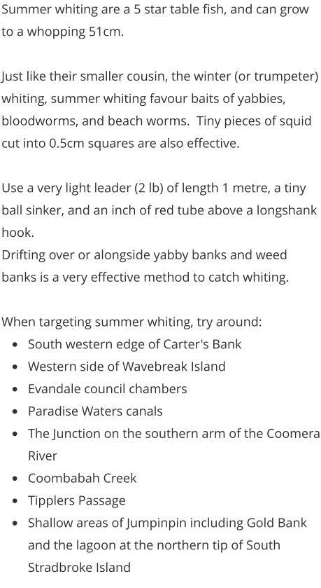 Summer whiting are a 5 star table fish, and can grow to a whopping 51cm.    Just like their smaller cousin, the winter (or trumpeter) whiting, summer whiting favour baits of yabbies, bloodworms, and beach worms.  Tiny pieces of squid cut into 0.5cm squares are also effective.  Use a very light leader (2 lb) of length 1 metre, a tiny ball sinker, and an inch of red tube above a longshank hook.   Drifting over or alongside yabby banks and weed banks is a very effective method to catch whiting.  When targeting summer whiting, try around: •	South western edge of Carter's Bank •	Western side of Wavebreak Island •	Evandale council chambers •	Paradise Waters canals •	The Junction on the southern arm of the Coomera River •	Coombabah Creek •	Tipplers Passage •	Shallow areas of Jumpinpin including Gold Bank and the lagoon at the northern tip of South Stradbroke Island