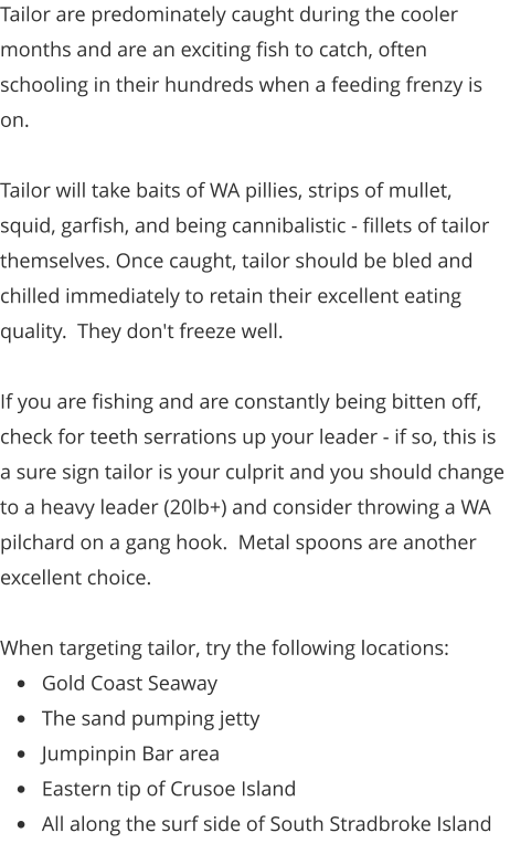 Tailor are predominately caught during the cooler months and are an exciting fish to catch, often schooling in their hundreds when a feeding frenzy is on.    Tailor will take baits of WA pillies, strips of mullet, squid, garfish, and being cannibalistic - fillets of tailor themselves. Once caught, tailor should be bled and chilled immediately to retain their excellent eating quality.  They don't freeze well.  If you are fishing and are constantly being bitten off, check for teeth serrations up your leader - if so, this is a sure sign tailor is your culprit and you should change to a heavy leader (20lb+) and consider throwing a WA pilchard on a gang hook.  Metal spoons are another excellent choice.    When targeting tailor, try the following locations: •	Gold Coast Seaway •	The sand pumping jetty •	Jumpinpin Bar area •	Eastern tip of Crusoe Island •	All along the surf side of South Stradbroke Island
