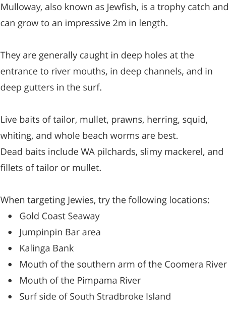 Mulloway, also known as Jewfish, is a trophy catch and can grow to an impressive 2m in length.  They are generally caught in deep holes at the entrance to river mouths, in deep channels, and in deep gutters in the surf.  Live baits of tailor, mullet, prawns, herring, squid, whiting, and whole beach worms are best.   Dead baits include WA pilchards, slimy mackerel, and fillets of tailor or mullet.  When targeting Jewies, try the following locations: •	Gold Coast Seaway •	Jumpinpin Bar area •	Kalinga Bank •	Mouth of the southern arm of the Coomera River •	Mouth of the Pimpama River •	Surf side of South Stradbroke Island