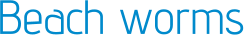 Beach worms
