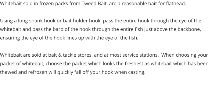 Whitebait sold in frozen packs from Tweed Bait, are a reasonable bait for flathead.  Using a long shank hook or bait holder hook, pass the entire hook through the eye of the whitebait and pass the barb of the hook through the entire fish just above the backbone, ensuring the eye of the hook lines up with the eye of the fish.  Whitebait are sold at bait & tackle stores, and at most service stations.  When choosing your packet of whitebait, choose the packet which looks the freshest as whitebait which has been thawed and refrozen will quickly fall off your hook when casting.