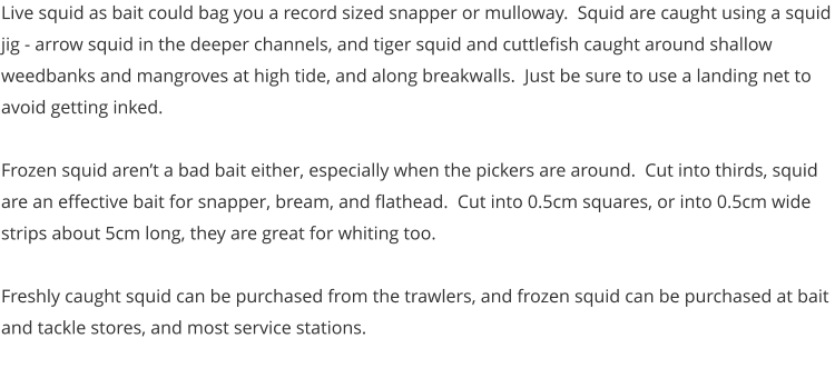 Live squid as bait could bag you a record sized snapper or mulloway.  Squid are caught using a squid jig - arrow squid in the deeper channels, and tiger squid and cuttlefish caught around shallow weedbanks and mangroves at high tide, and along breakwalls.  Just be sure to use a landing net to avoid getting inked.  Frozen squid aren’t a bad bait either, especially when the pickers are around.  Cut into thirds, squid are an effective bait for snapper, bream, and flathead.  Cut into 0.5cm squares, or into 0.5cm wide strips about 5cm long, they are great for whiting too.  Freshly caught squid can be purchased from the trawlers, and frozen squid can be purchased at bait and tackle stores, and most service stations.