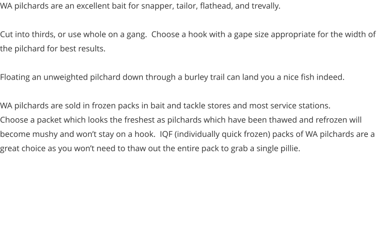 WA pilchards are an excellent bait for snapper, tailor, flathead, and trevally.  Cut into thirds, or use whole on a gang.  Choose a hook with a gape size appropriate for the width of the pilchard for best results.  Floating an unweighted pilchard down through a burley trail can land you a nice fish indeed.  WA pilchards are sold in frozen packs in bait and tackle stores and most service stations. Choose a packet which looks the freshest as pilchards which have been thawed and refrozen will become mushy and won’t stay on a hook.  IQF (individually quick frozen) packs of WA pilchards are a great choice as you won’t need to thaw out the entire pack to grab a single pillie.