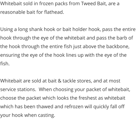 Whitebait sold in frozen packs from Tweed Bait, are a reasonable bait for flathead.  Using a long shank hook or bait holder hook, pass the entire hook through the eye of the whitebait and pass the barb of the hook through the entire fish just above the backbone, ensuring the eye of the hook lines up with the eye of the fish.  Whitebait are sold at bait & tackle stores, and at most service stations.  When choosing your packet of whitebait, choose the packet which looks the freshest as whitebait which has been thawed and refrozen will quickly fall off your hook when casting.