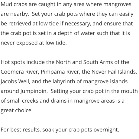 Mud crabs are caught in any area where mangroves are nearby.  Set your crab pots where they can easily be retrieved at low tide if necessary, and ensure that the crab pot is set in a depth of water such that it is never exposed at low tide.    Hot spots include the North and South Arms of the Coomera River, Pimpama River, the Never Fail Islands, Jacobs Well, and the labyrinth of mangrove islands around Jumpinpin.  Setting your crab pot in the mouth of small creeks and drains in mangrove areas is a great choice.    For best results, soak your crab pots overnight.